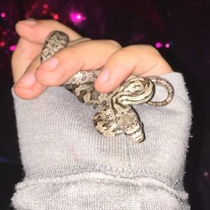 Meet your Posher, Brianna